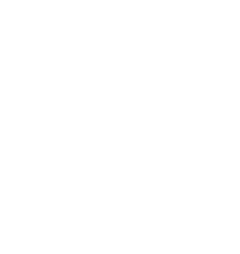 Visual Target Analysis