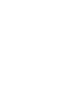 Real-Time Data Transfer